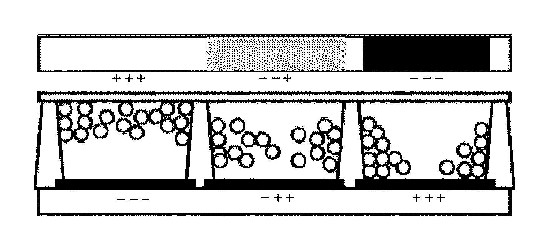 Electrophoresis display device and preparation method of the same