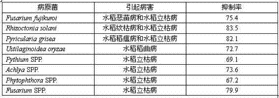 Application of biocontrol fungus Trichoderma virens and metabolites thereof