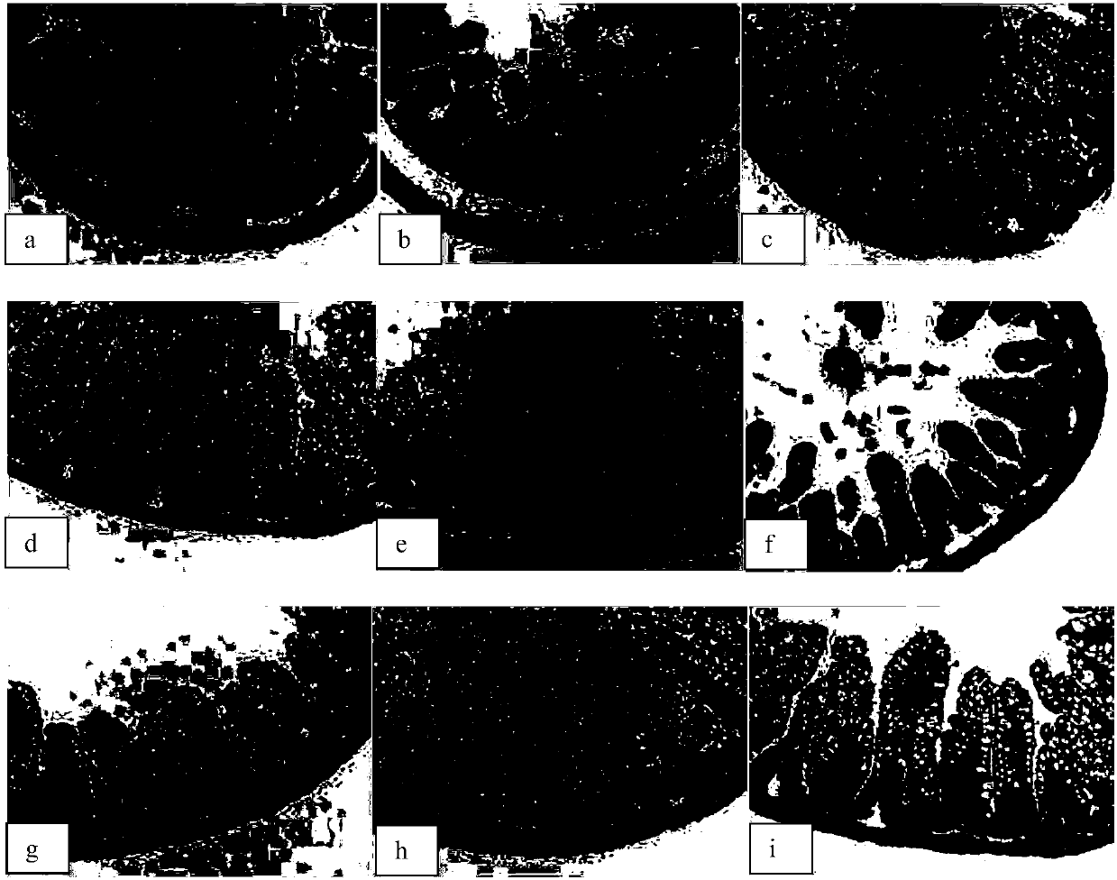 Nutritive preparation containing butyric acid