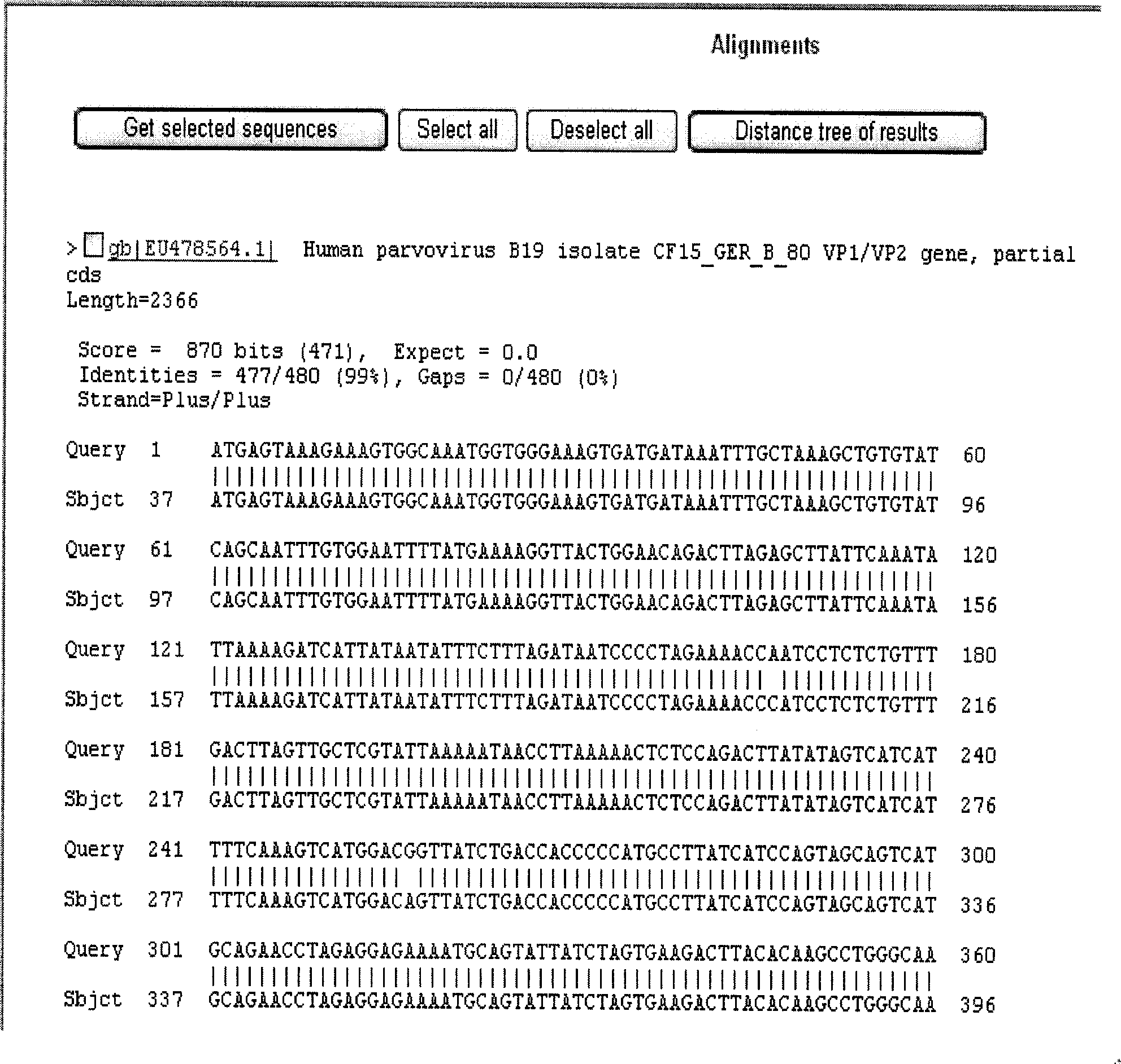 B19 virus VP1 unique region gene