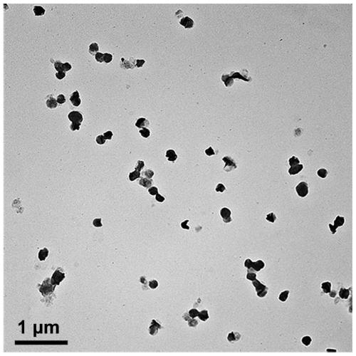 A kind of preparation method of high catalytic activity electrocatalyst 1t' phase tungsten sulfide