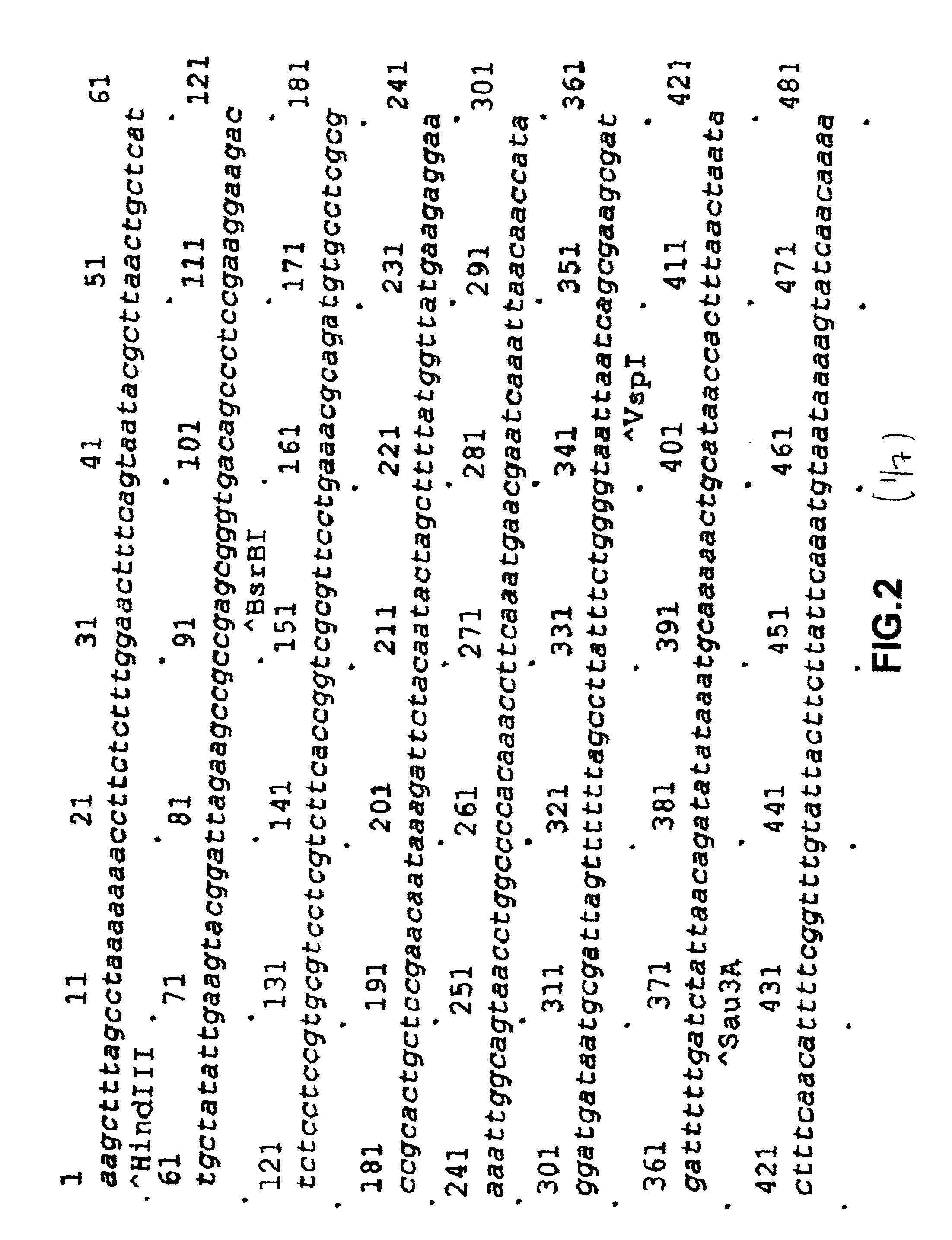 Recombinant alpha-fetoprotein and compositions thereof