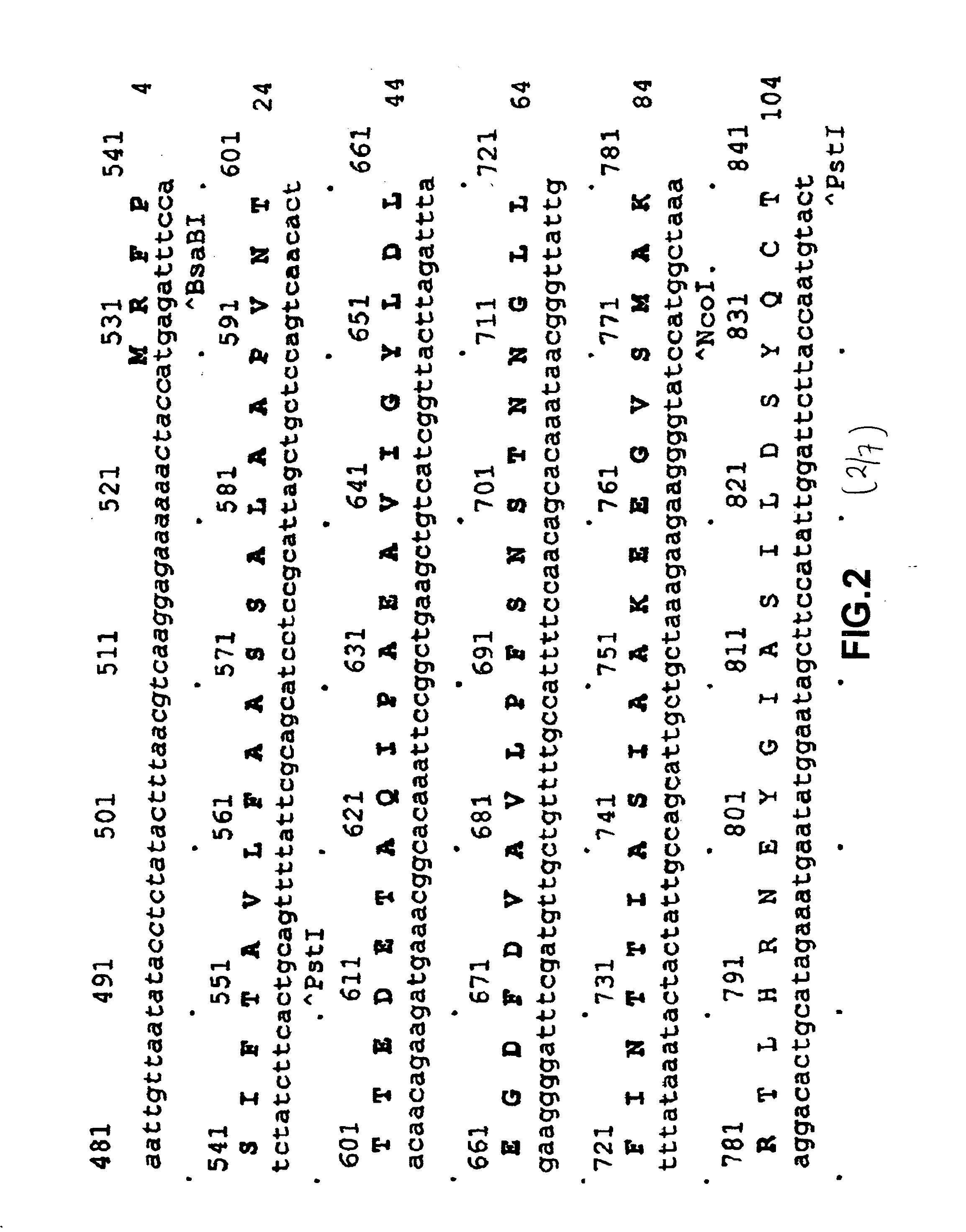 Recombinant alpha-fetoprotein and compositions thereof