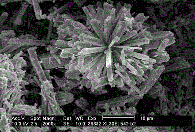 Synthesis method for ZSM-5 molecular sieve of special morphology