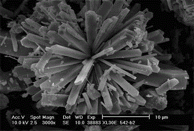 Synthesis method for ZSM-5 molecular sieve of special morphology