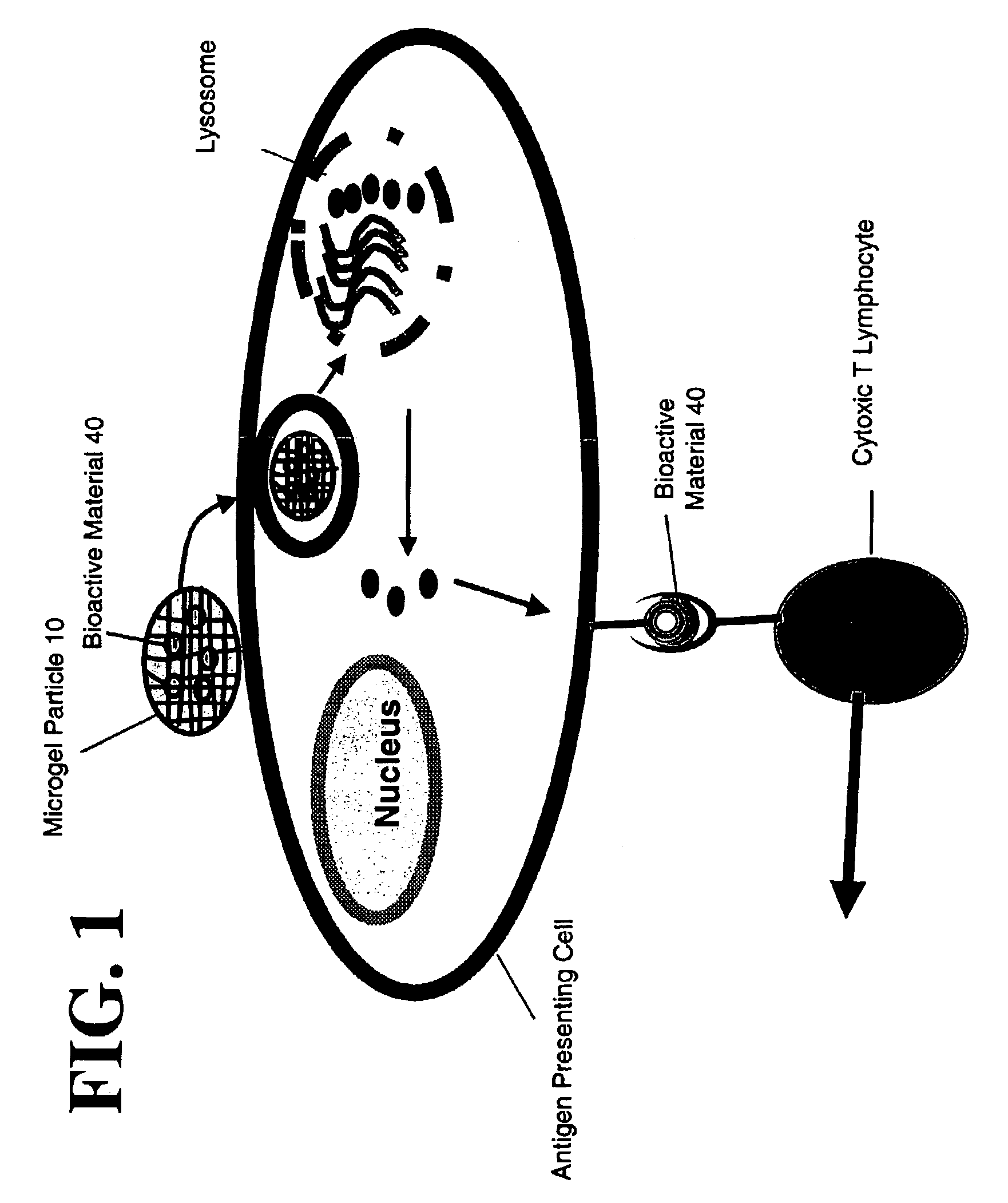 Microgel particles for the delivery of bioactive materials