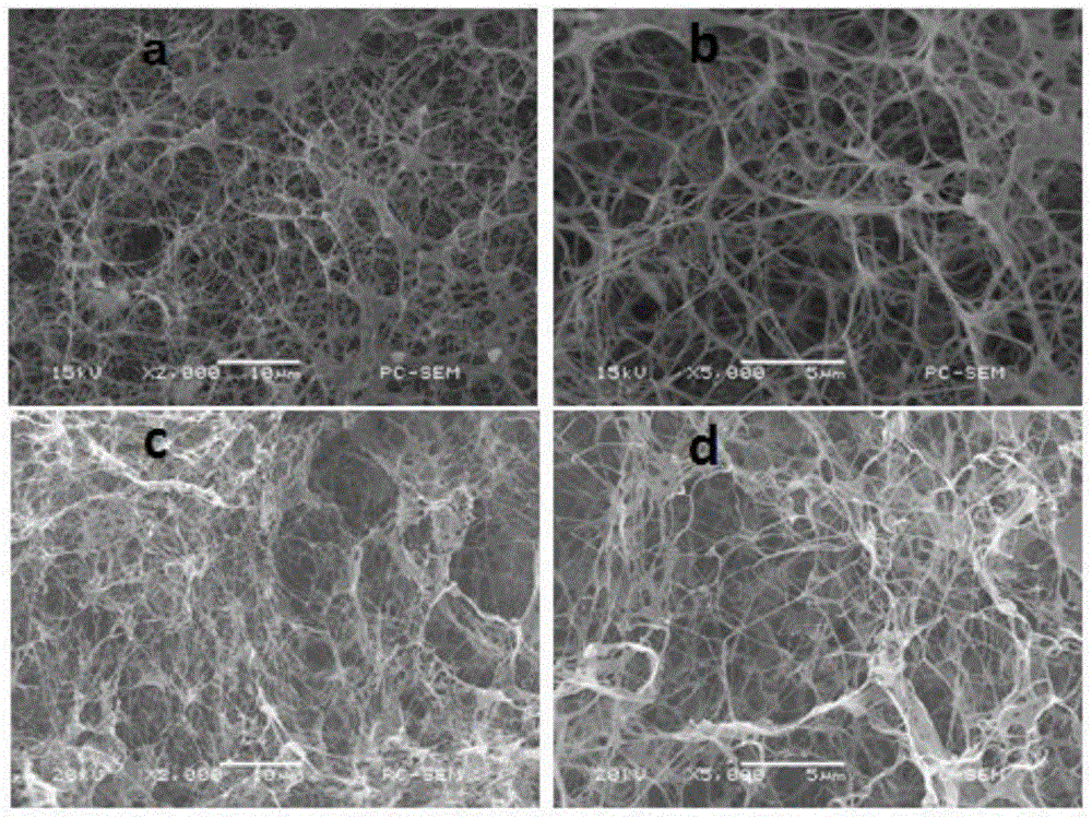 Biological ink for 3D printing