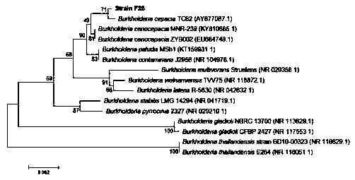 Microbial population sensing signal quenching bacteria and application thereof as biocontrol bacteria