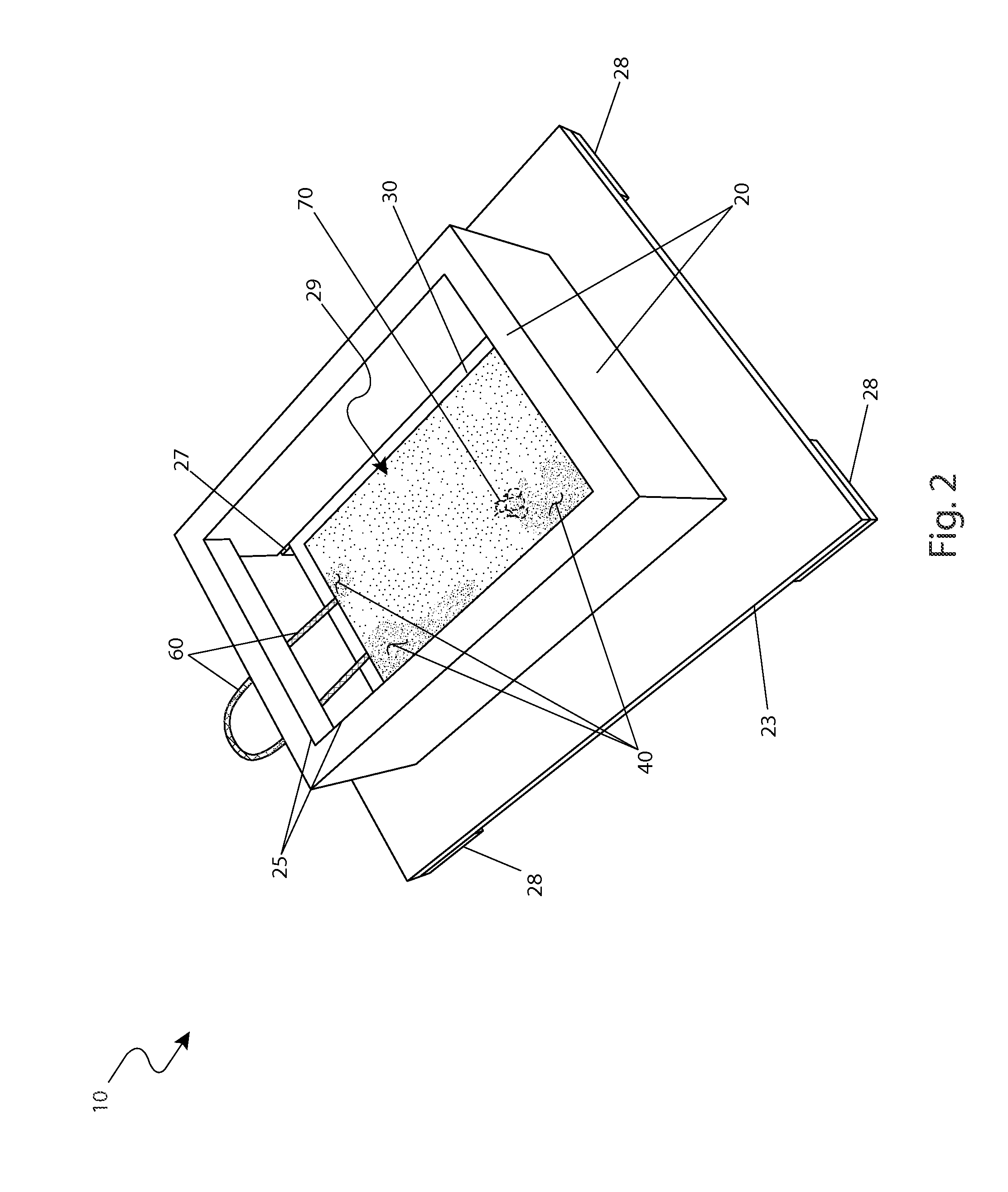 Insect capturing apparatus