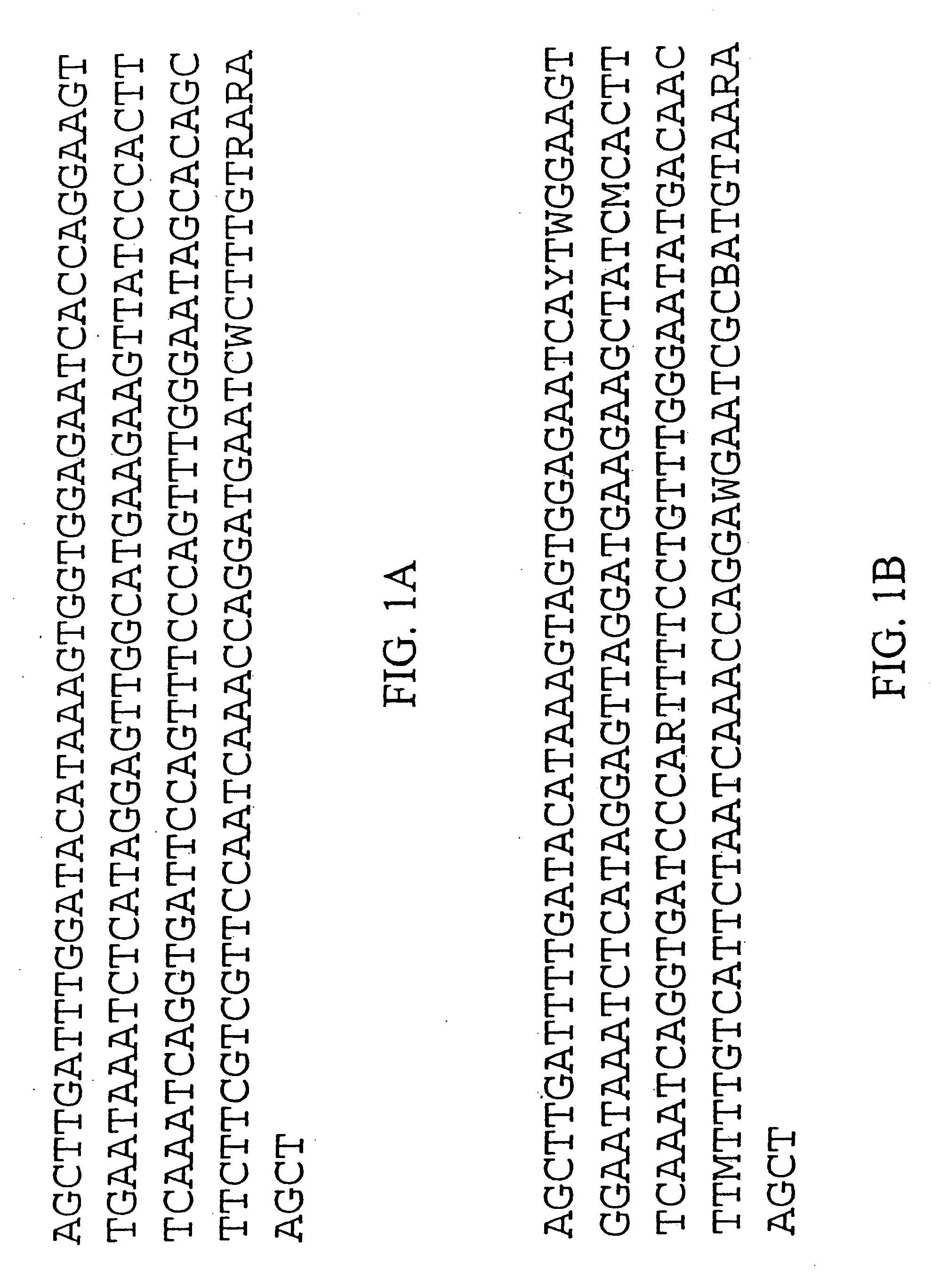 Plant centromere compositions