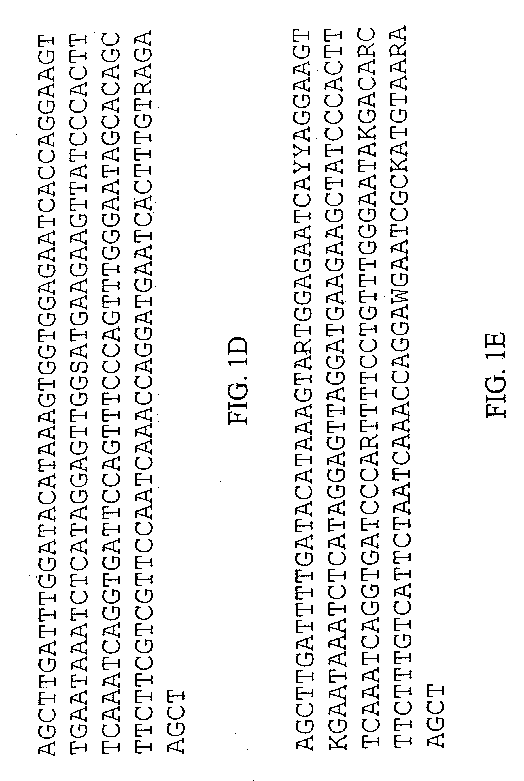 Plant centromere compositions