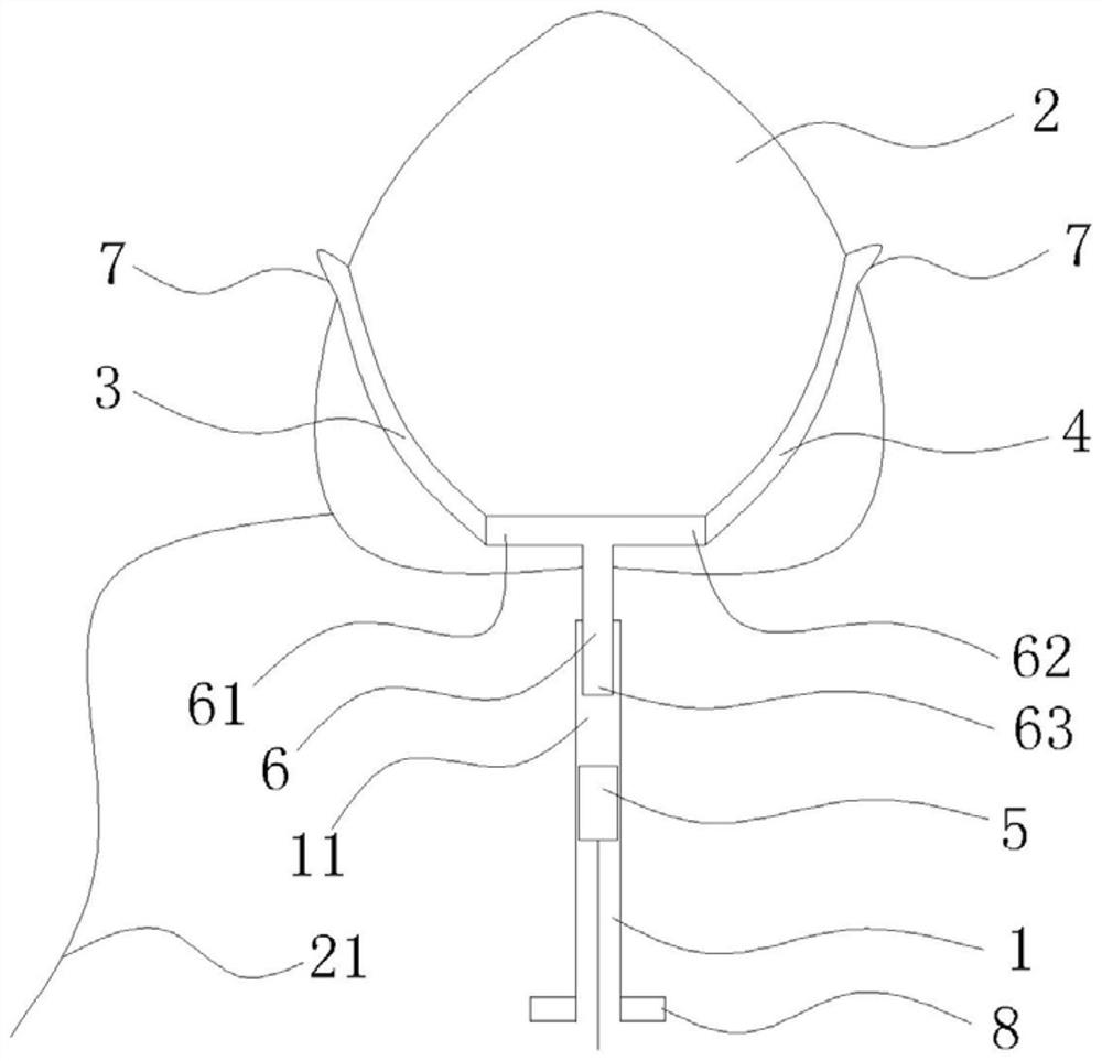 An insemination device for turtles