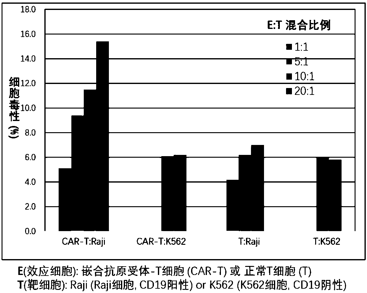 CAR-T (chimeric antigen receptor T cell) for targeting CD19 and application of CAR-T