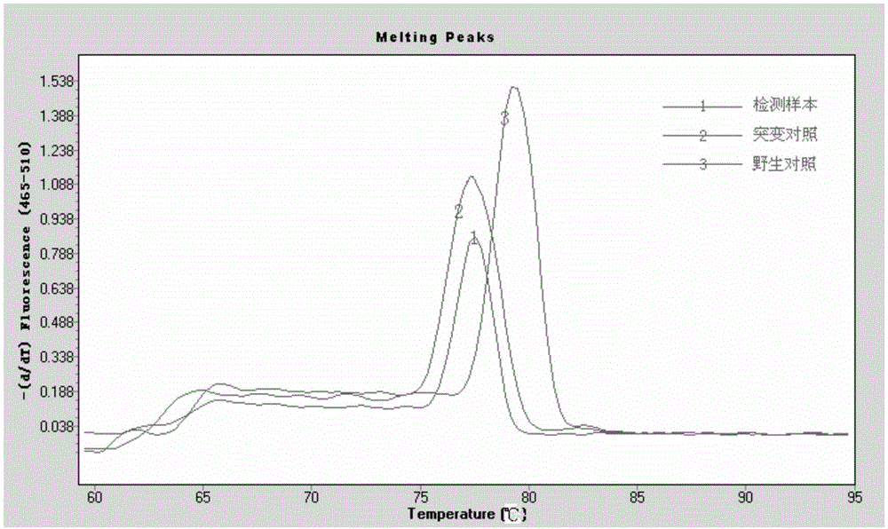 Method and kit for detecting deletion mutation of cell apoptosis regulator gene (BIM)