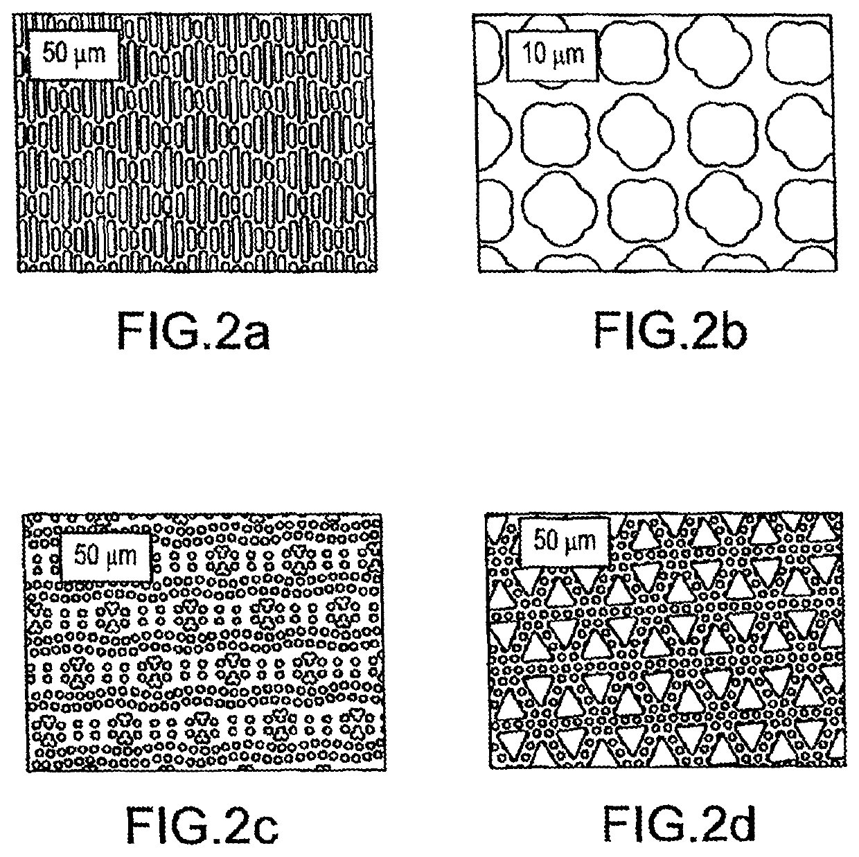 Method and system for reducing the likelihood of a porphyromonas gingivalis infection in a human being