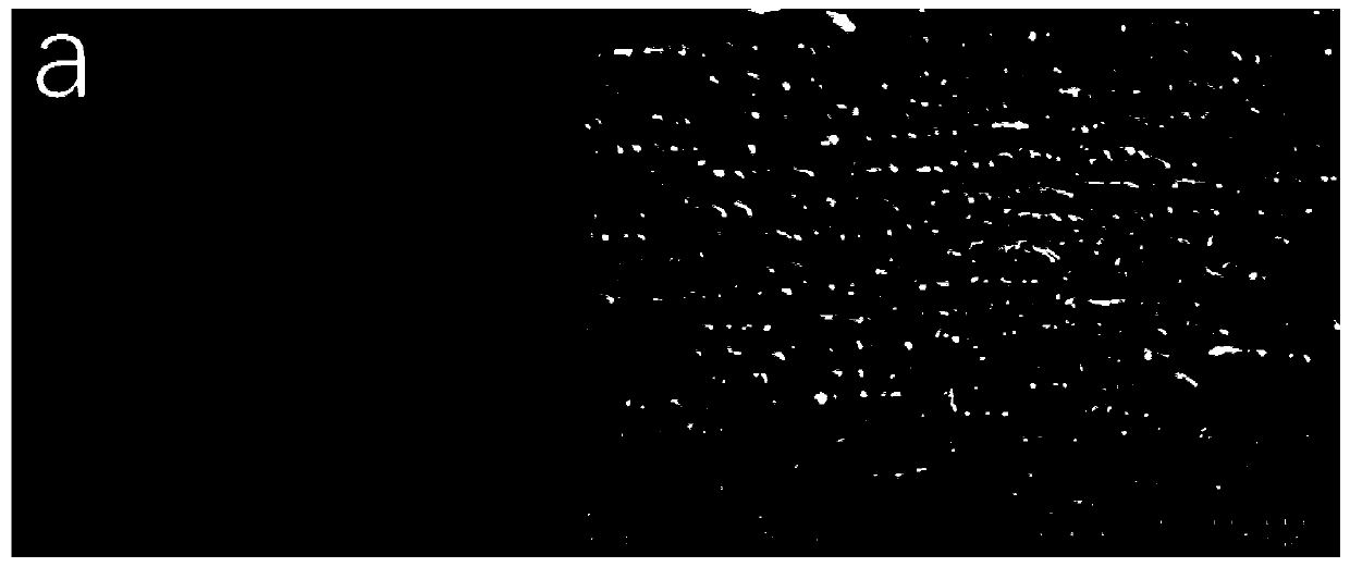 Preparation method of chiral nematic phase porous aerogel