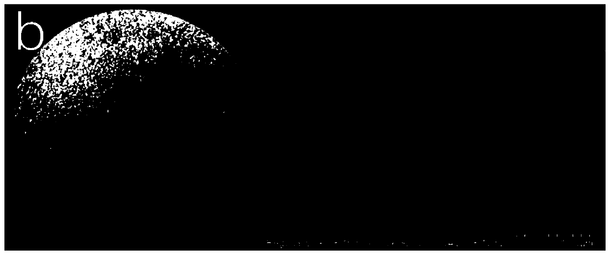 Preparation method of chiral nematic phase porous aerogel