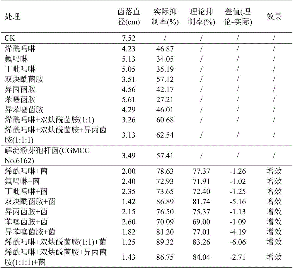 Bacterium pesticide composition containing carboxylic acid amide and benzamide bactericides and biocontrol bacteria, preparation and application