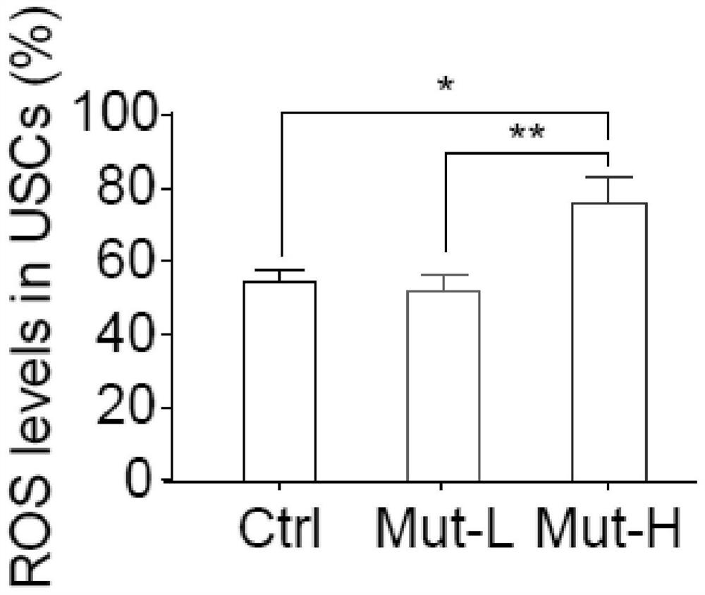 Small interfering RNAs targeting atf5 and their uses