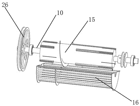 Camellia seed huller