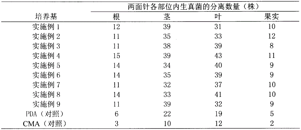 Isolation medium for radix zanthoxyli endophytic fungi