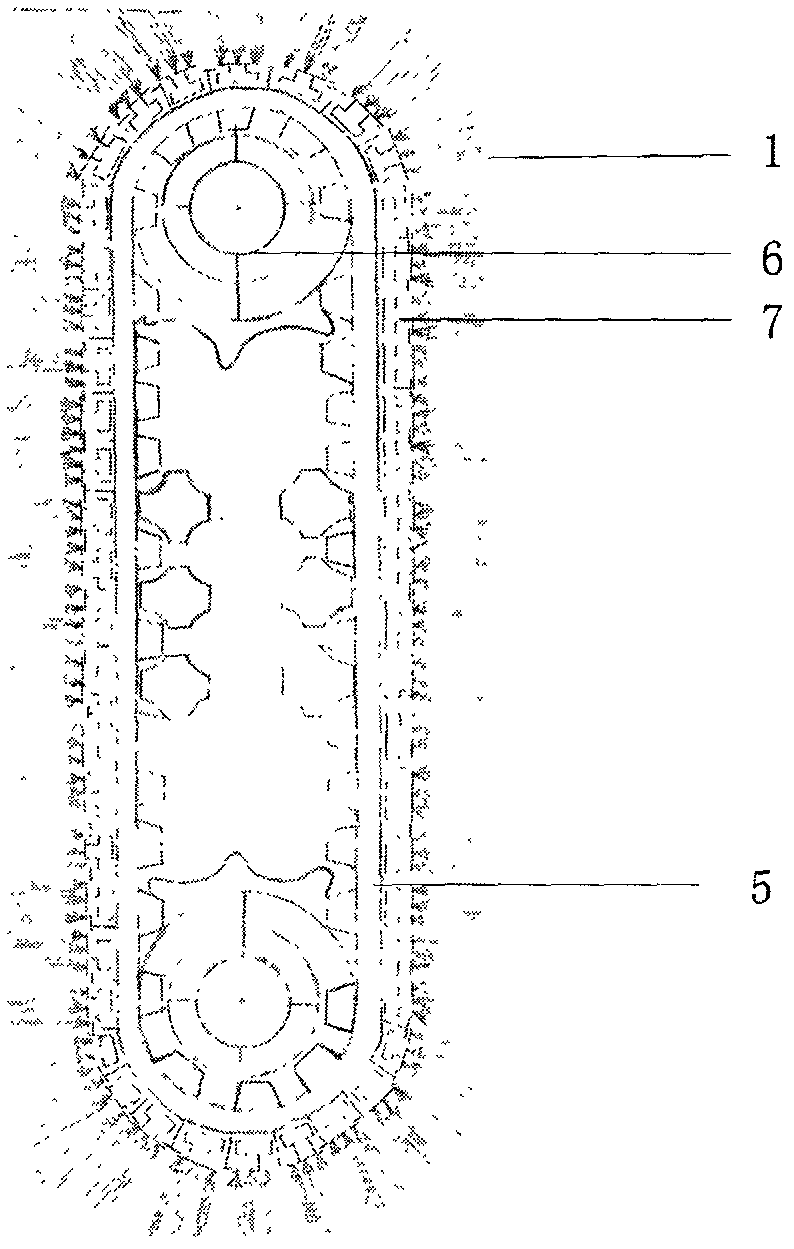 Automatic massage brush for cattle body