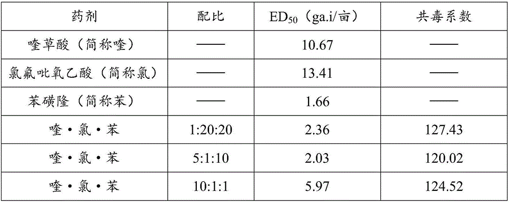 Wheat field herbicide composition, and applications thereof