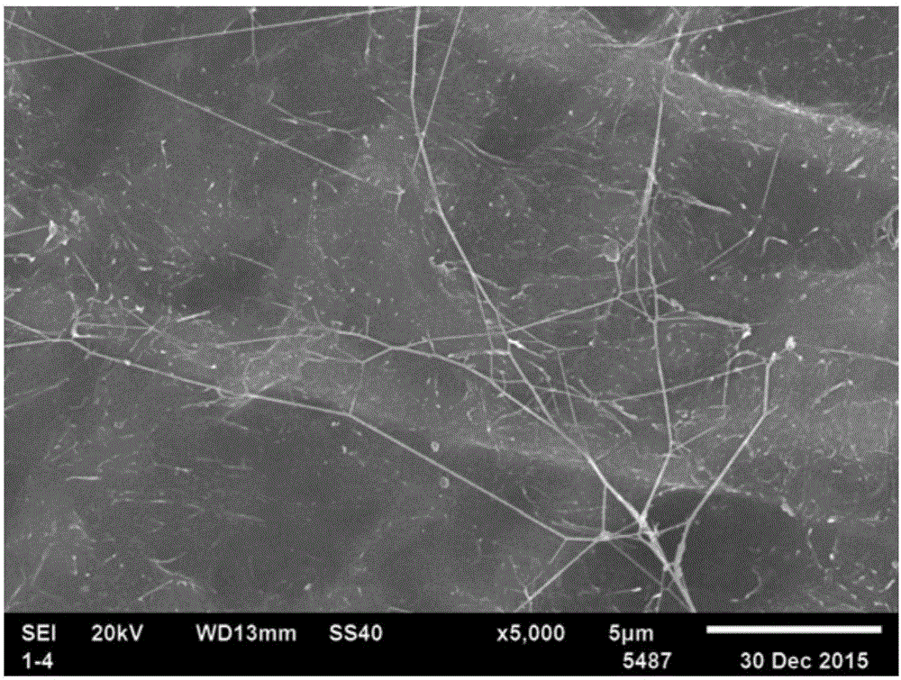 Preparation method of super-hydrophobic oleophobic transparent nanocellulose paper