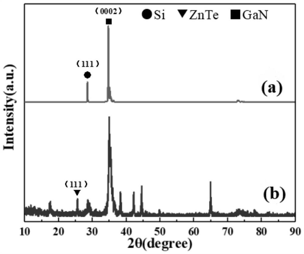 Gan-cdznte composite structural components with znte transition layer, application and preparation method thereof