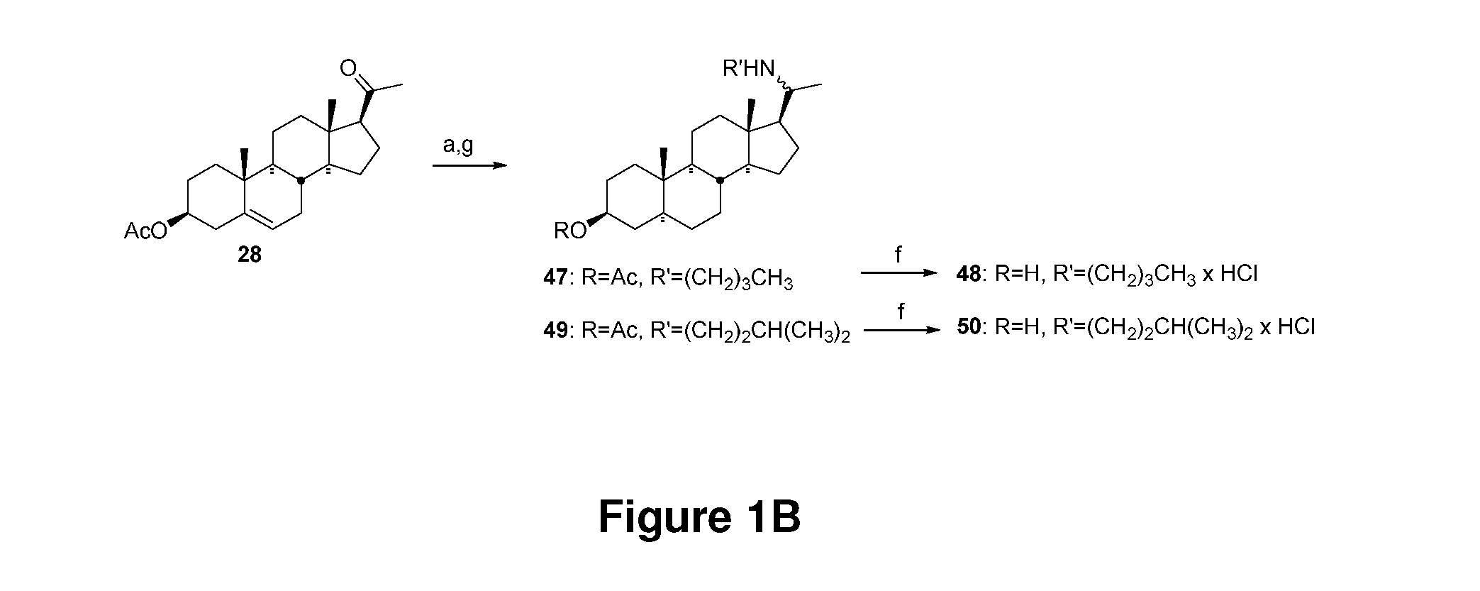 Atp synthase inhibitors and steroid alkaloids and uses thereof as antimicrobial agents and as potentiators for aminoglycosides against pathogenic bacteria