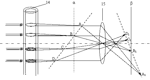 Method for measuring liquid phase diffusion coefficient, and apparatus thereof