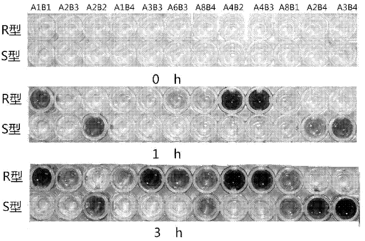 Method for screening stereoselective alpha-hydroxy acid dehydrogenase