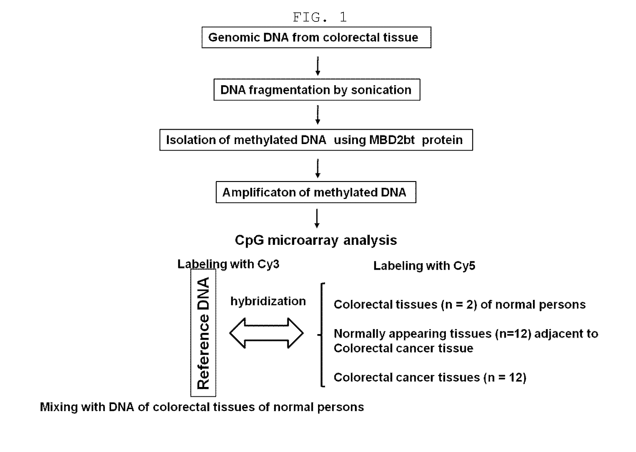 Method for detecting the methylation of colorectal-cancer-specific methylation marker genes for colorectal cancer diagnosis