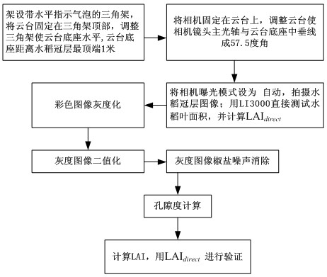 Method of acquiring leaf area index (LAI) of rice canopy by using common digital camera