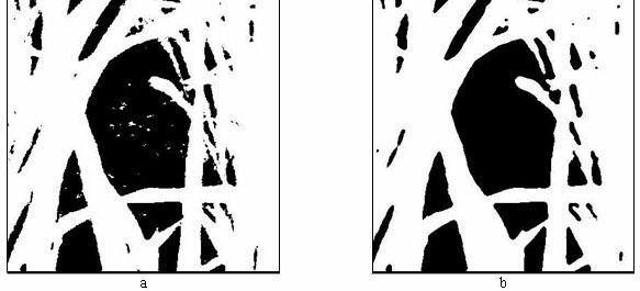 Method of acquiring leaf area index (LAI) of rice canopy by using common digital camera