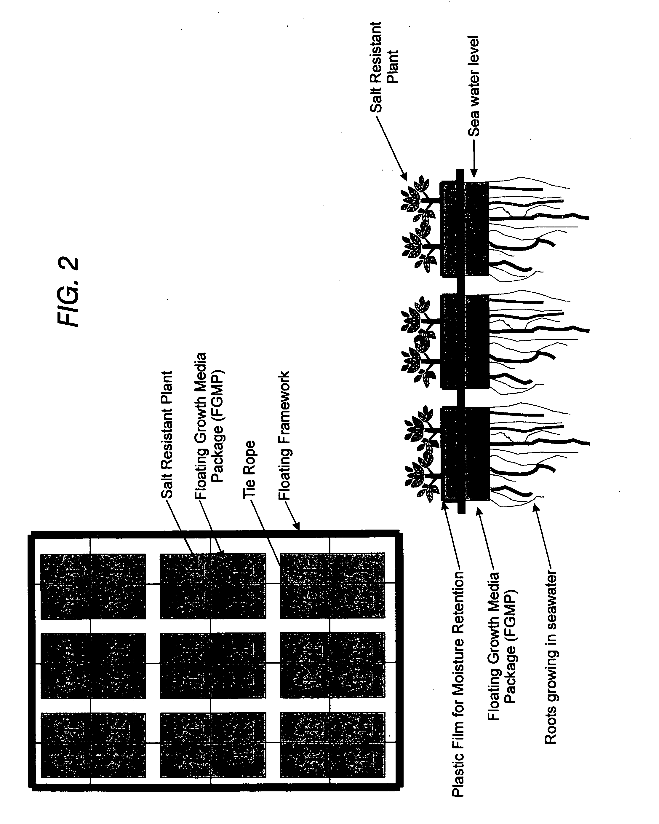 Floating plant cultivation platform and method for growing terrestrial plants in saline water of various salinities for multiple purposes