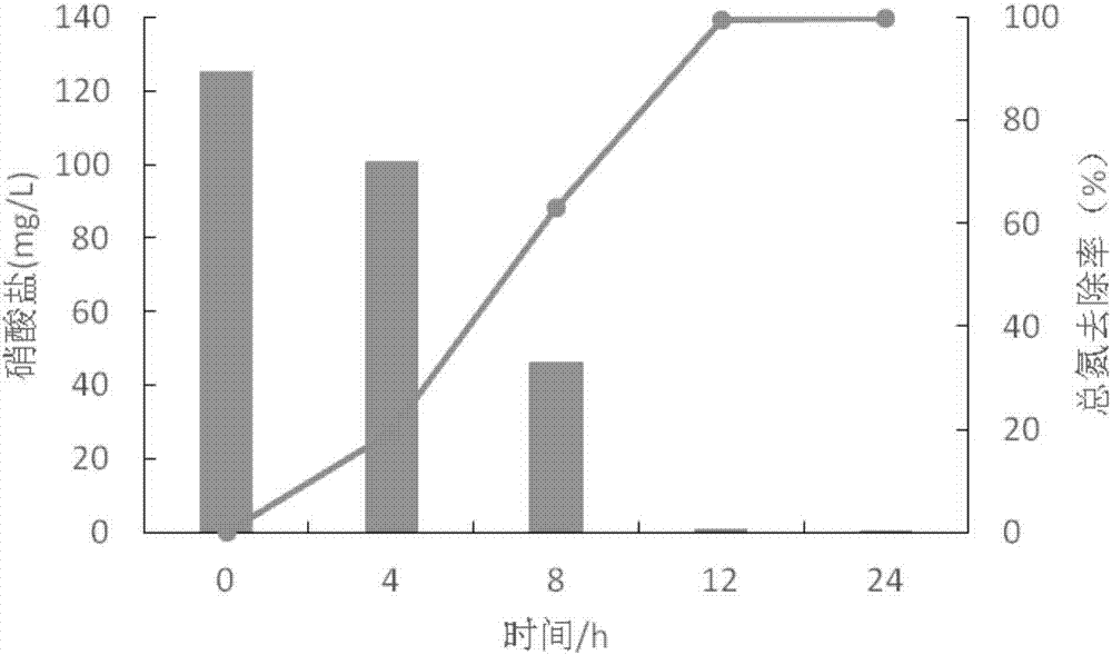 Composite microbial agent and preparation method and application thereof