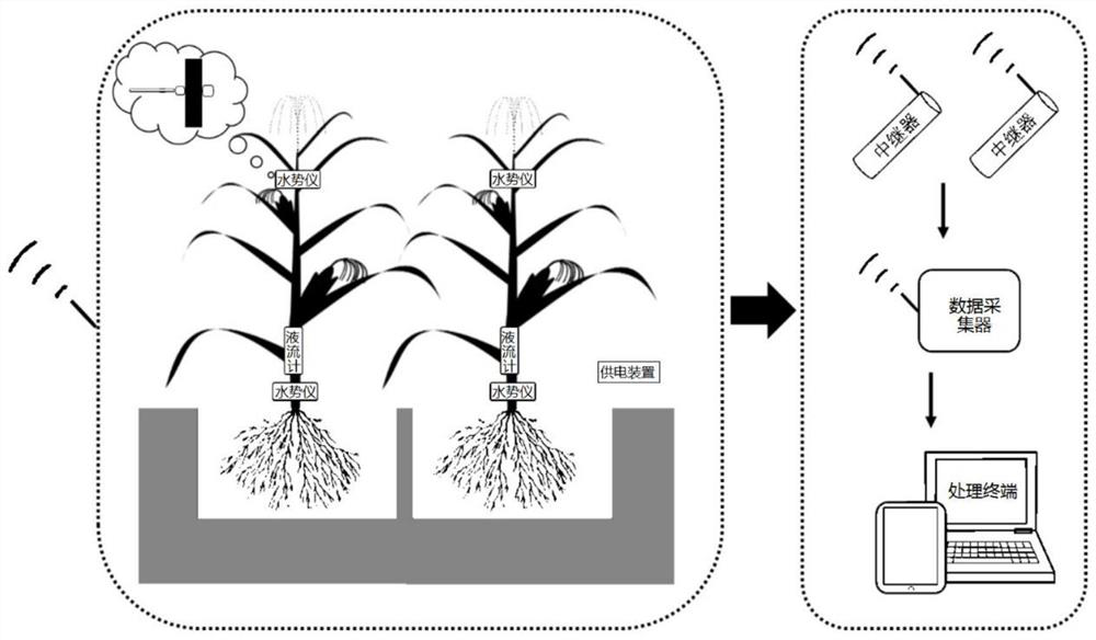 Plant irrigation decision-making system and method