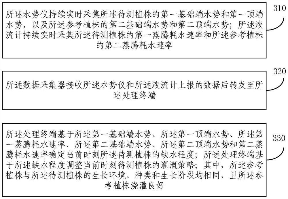 Plant irrigation decision-making system and method