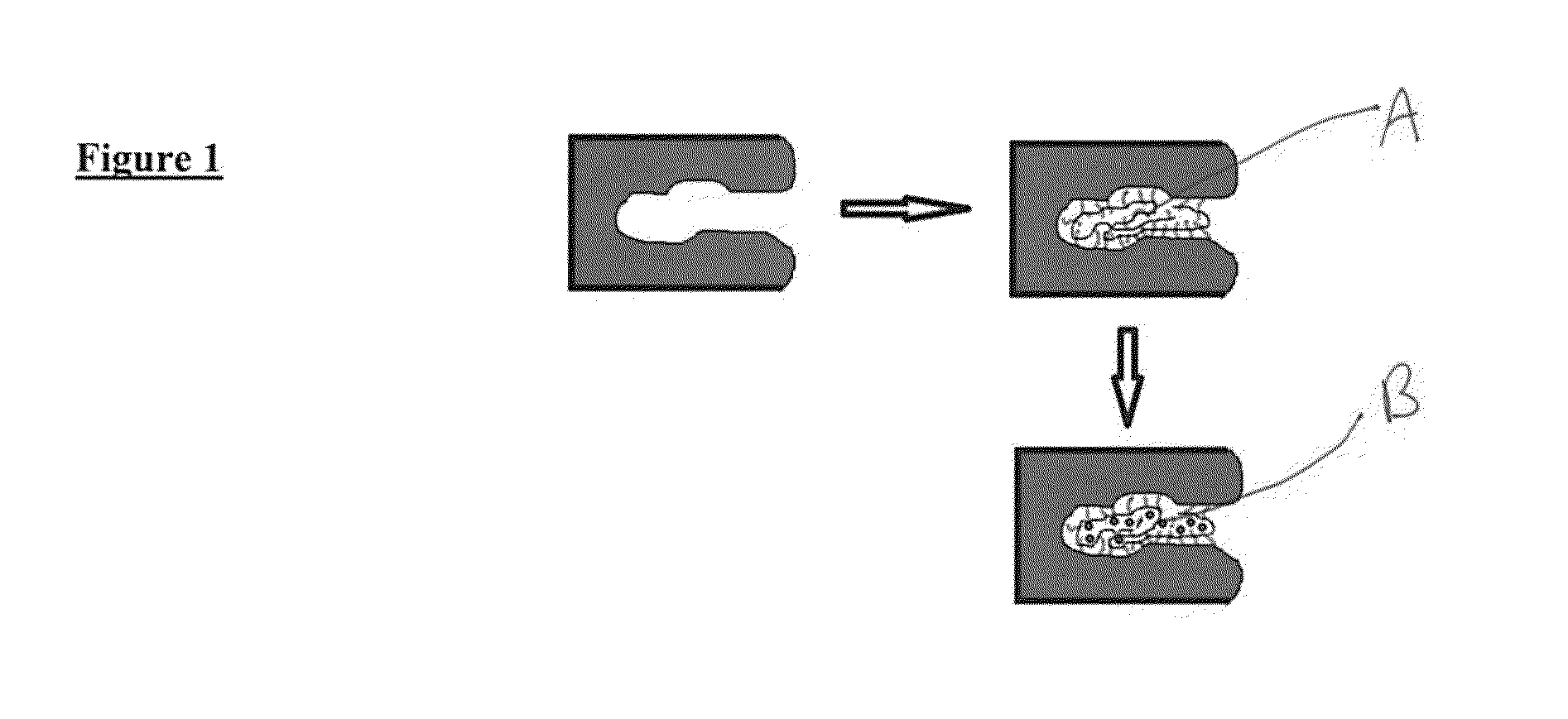 Dental Amalgam Filter Including Tungsten Disulfide Nanopowder