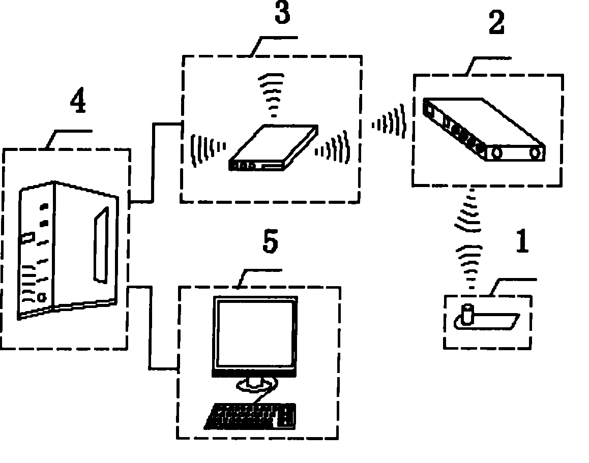 Animal husbandry management system based on radio frequency identification (RFID) technology