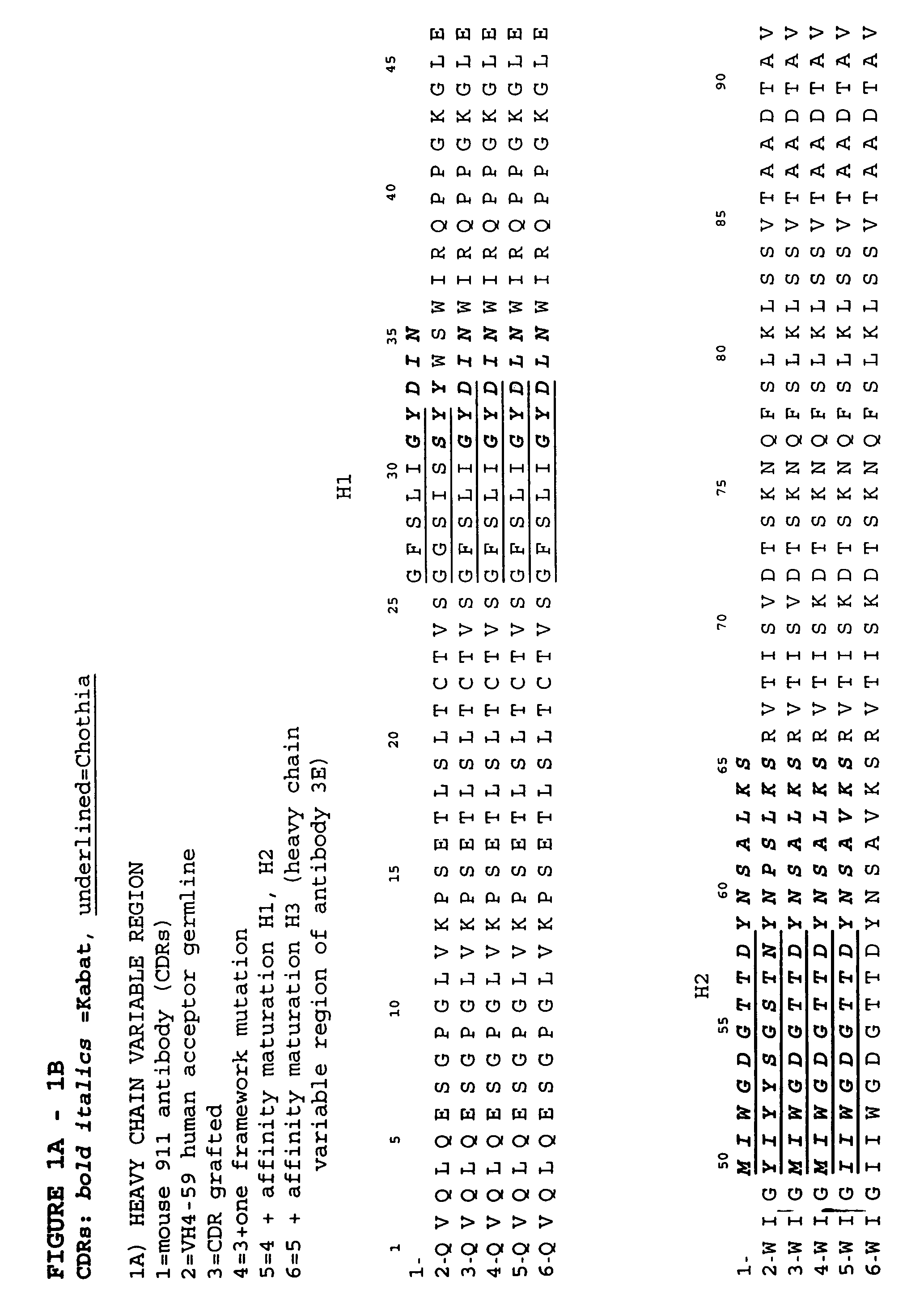 Anti-NGF antibodies and methods using same