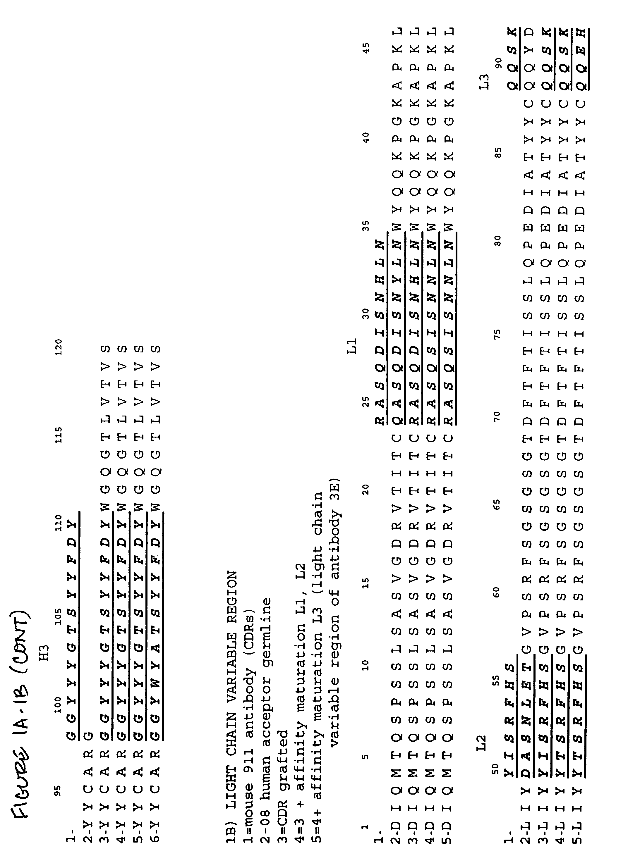 Anti-NGF antibodies and methods using same