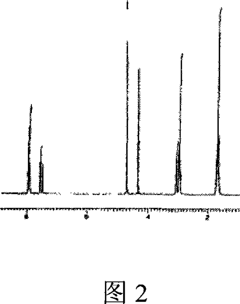 High spermidine conjugates, preparation and application thereof