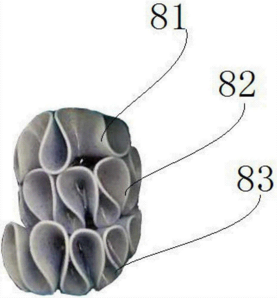 Device for efficiently purifying eutrophic water