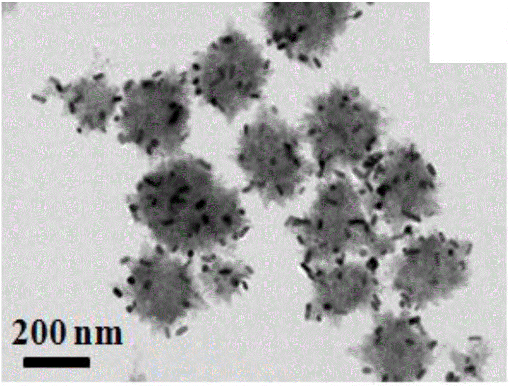 TiO2/Au nano-rod urchin-like heterostructure photocatalyst and preparation method thereof