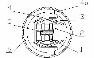 Electrode fixing device of plate oxygen sensor