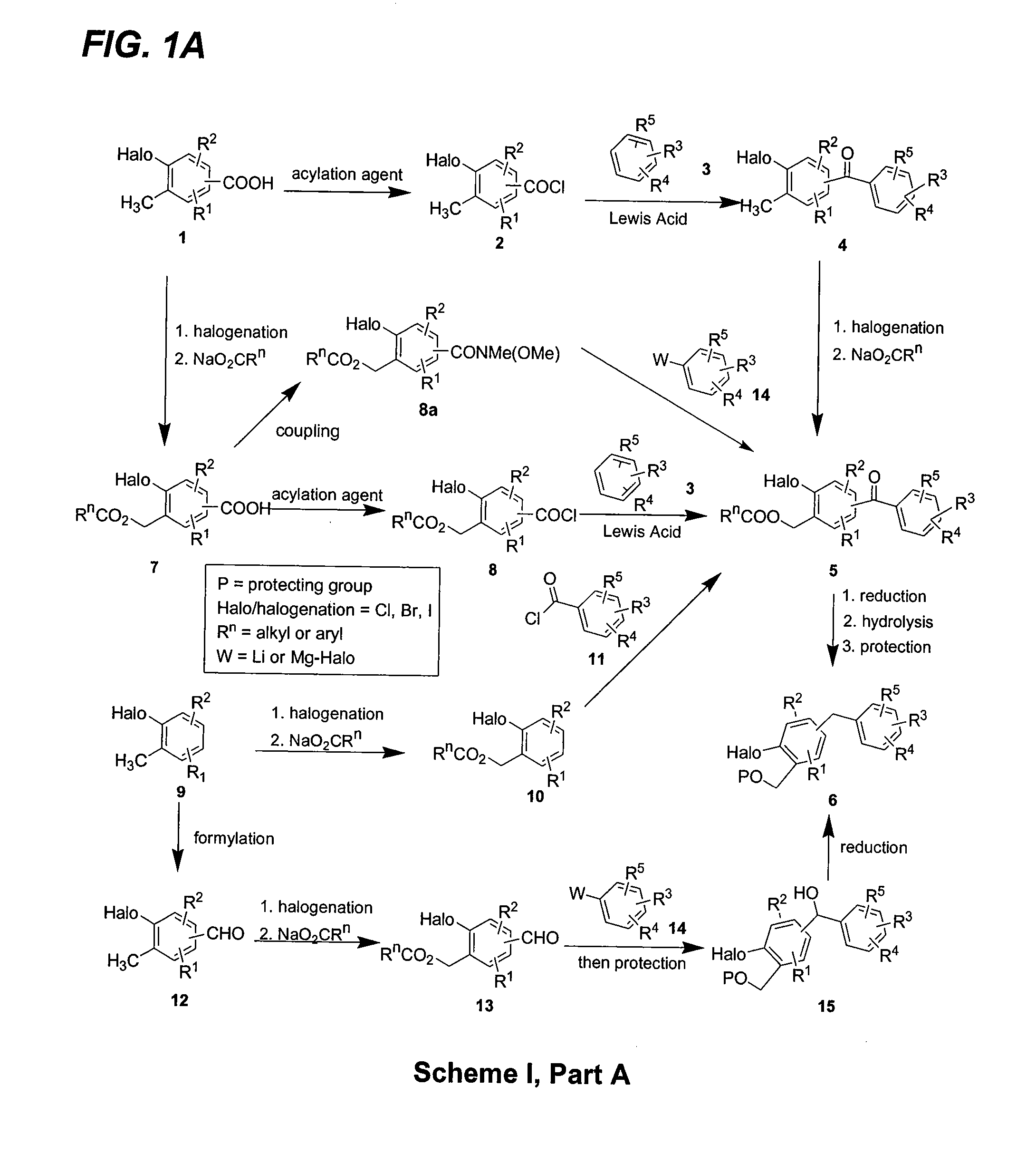 Glucose transport inhibitors and methods of use