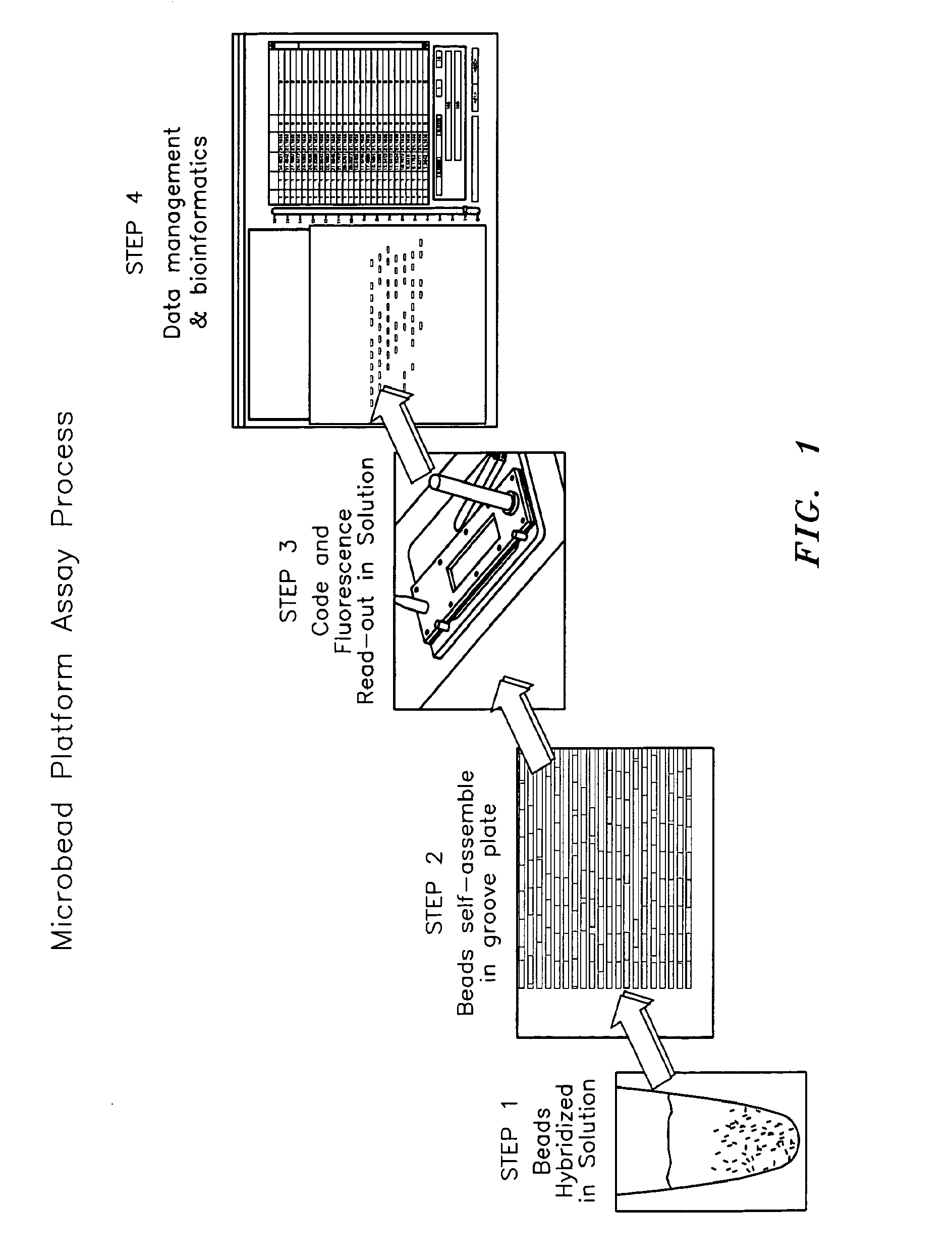 Method and apparatus for aligning microbeads in order to interrogate the same