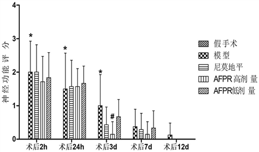 Application of polyrhachis vicina roger extract in preparation of anti-cerebral ischemia drugs